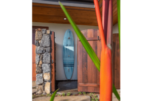 Tropical Architect Group