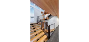 Lowe - KukuiUla, Koloa Kauai