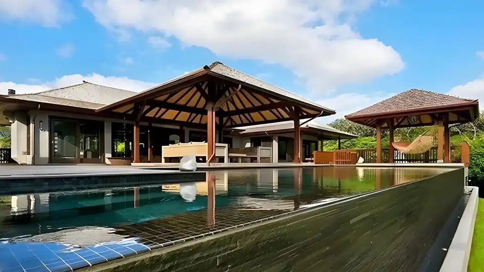 projects modern tropical